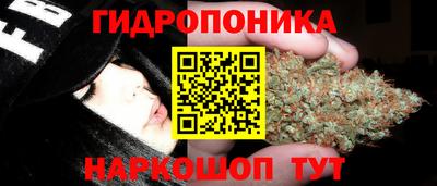 дмт Краснознаменск