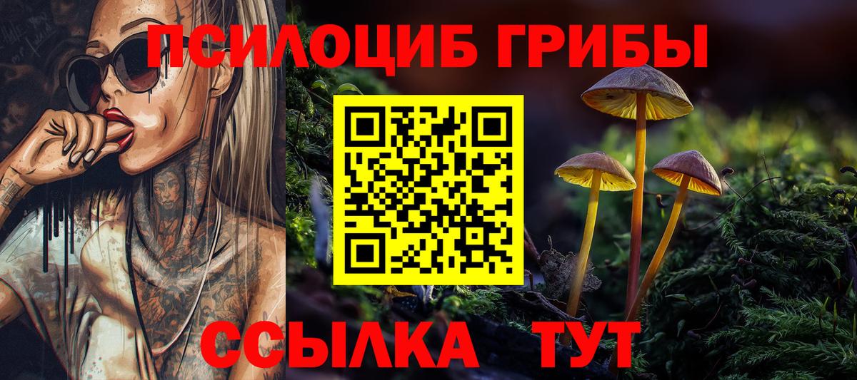 где купить наркоту  Вход с VPN  Чайковский  Галлюциногенные грибы ЛСД 